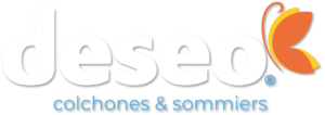Logo blanco con sombra